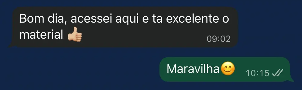 Depoimento real de professora no WhatsApp 5